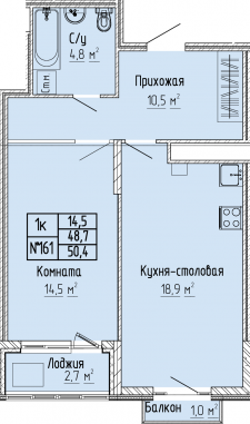 1К-квартира, 50,4 м2, 10&nbsp;этаж
