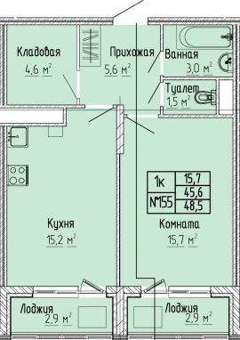 1К-квартира, 48,5 м2, 9&nbsp;этаж